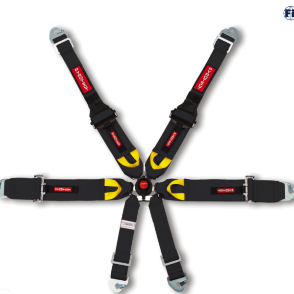 FIA-Approved Pyrotect Safety Ultra-Light 6-Point Camlock Driver Restraint Harness